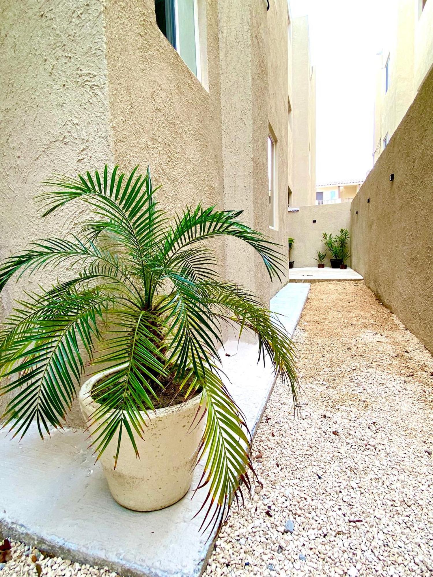 Casa Etna Lägenhet Cancún Exteriör bild