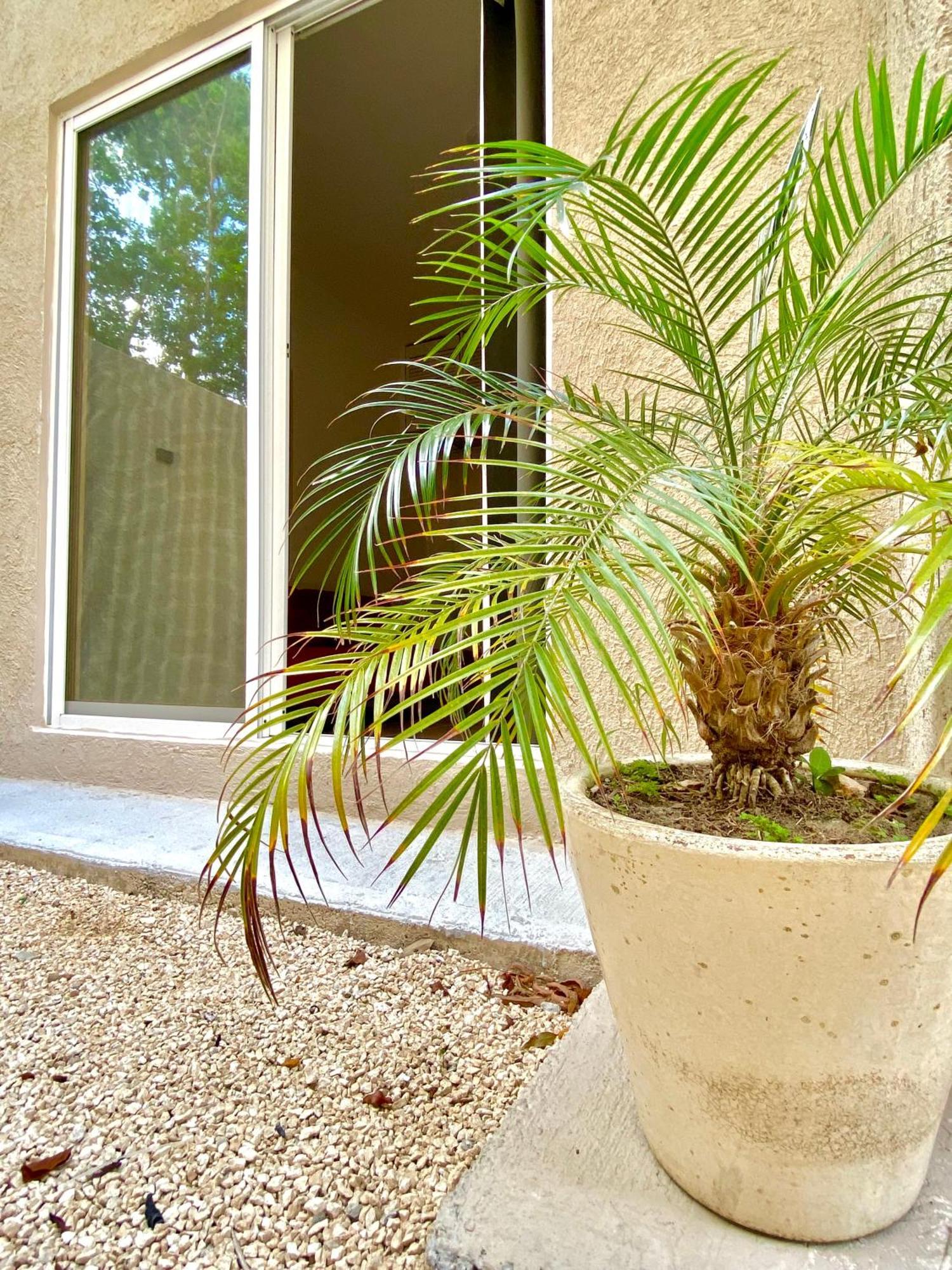 Casa Etna Lägenhet Cancún Exteriör bild